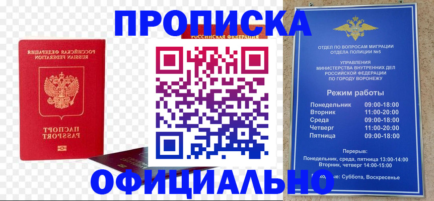прописка иностранных граждан в Эртили